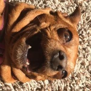 Meet your Posher, Jack